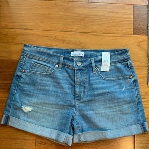 NWT Loft Jean Shorts size 6/28